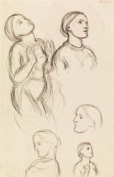 Studies of Edith Holman Hunt by William Holman Hunt