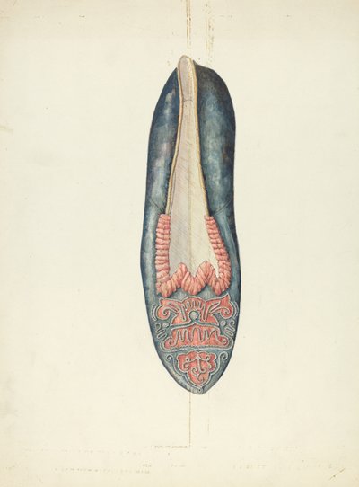 Evening Slipper by William Kieckhofel