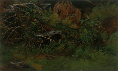 Study from Nature by William Stanley Haseltine