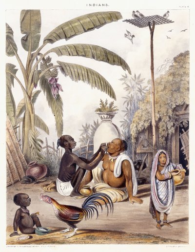 The Village Barber by William Tayler