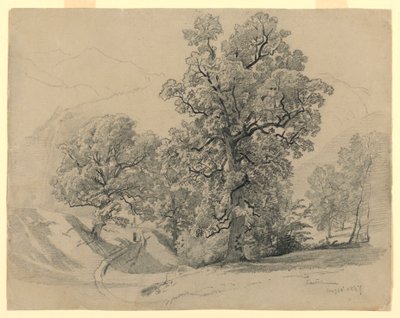 Landscape, Lauterbrunnen, Switzerland by William Trost Richards