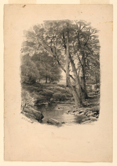 Pool in the Woods by William Trost Richards