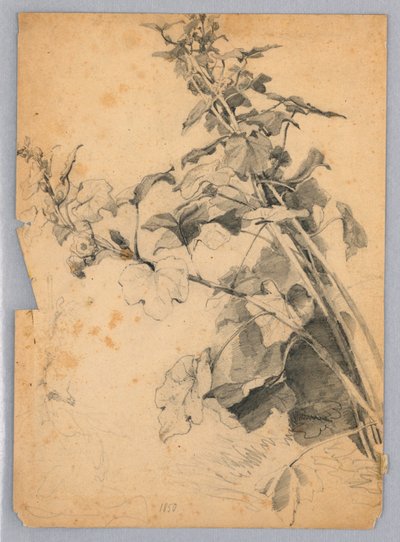 Study of Foliage by William Trost Richards