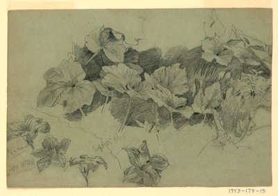 Study of Foliage by William Trost Richards