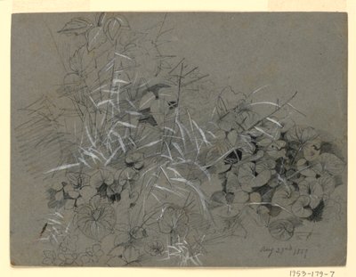 Study of Violet Leaves and Grass by William Trost Richards