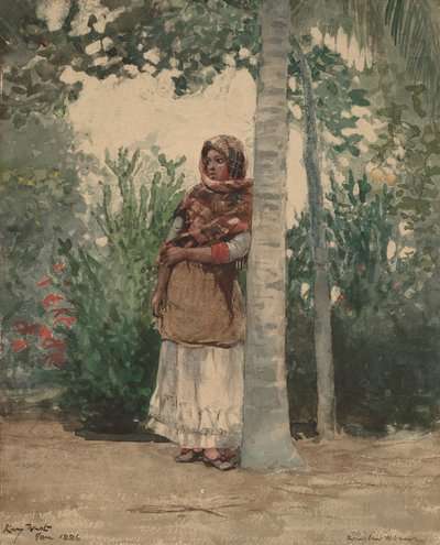 Under a Palm Tree by Winslow Homer