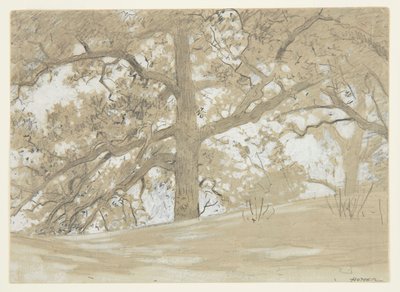 Waverly Oaks by Winslow Homer