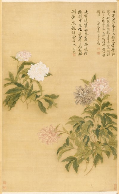 Peonies by Shouping Yun