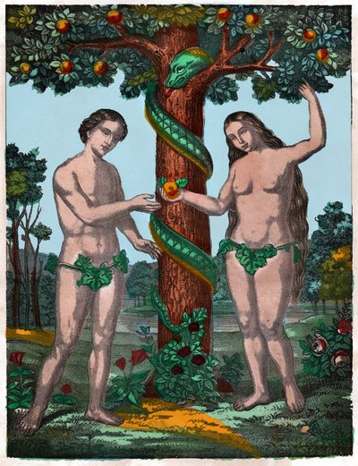 Adam and Eve (Engraving) by . .
