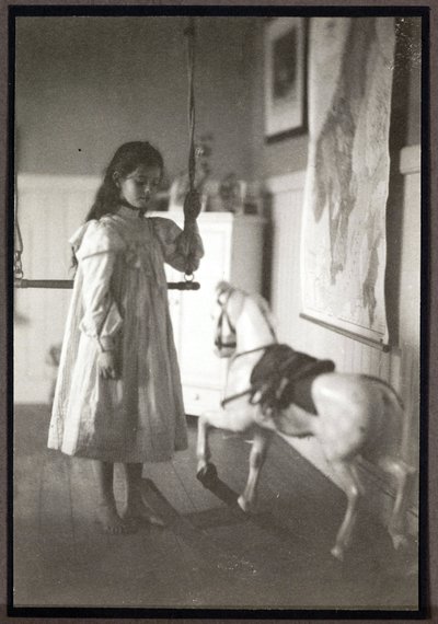 The Rocking Horse by John Pardon