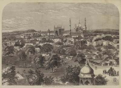 General View of Delhi by after A. Soltykoff