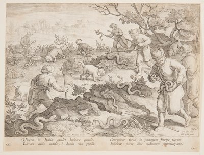 Hunting Snakes by after Jan van der Straet, called Stradanus