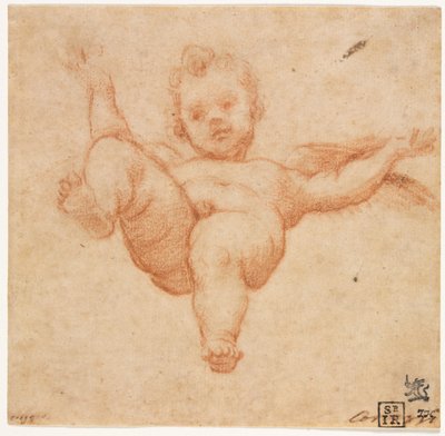 Flying Cupid by follower of Annibale Carracci