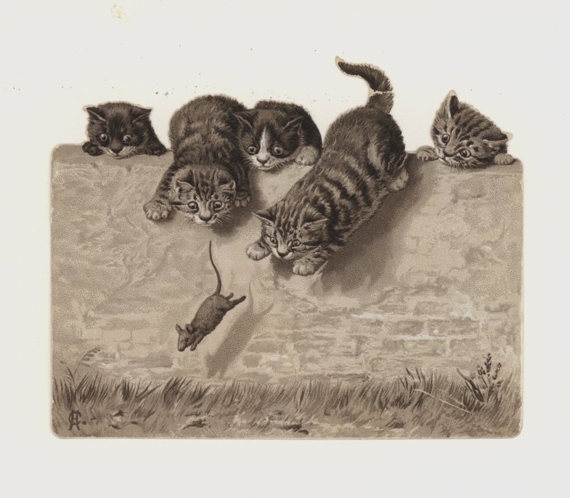 Kittens chasing a mouse by European School