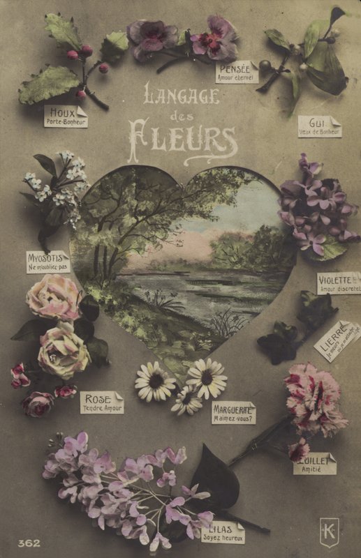 The Language of Flowers by French Photographer