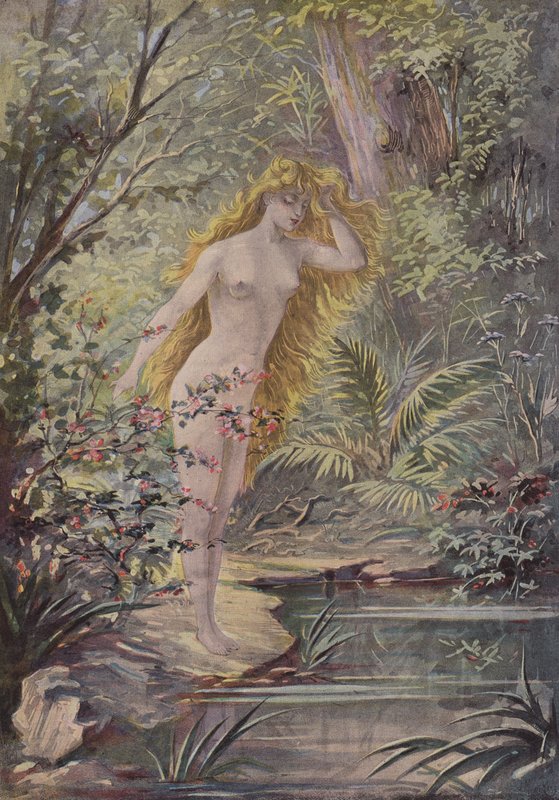 The First Mirror by French School