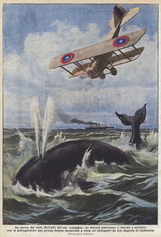 Hunting from the Sky by Achille Beltrame