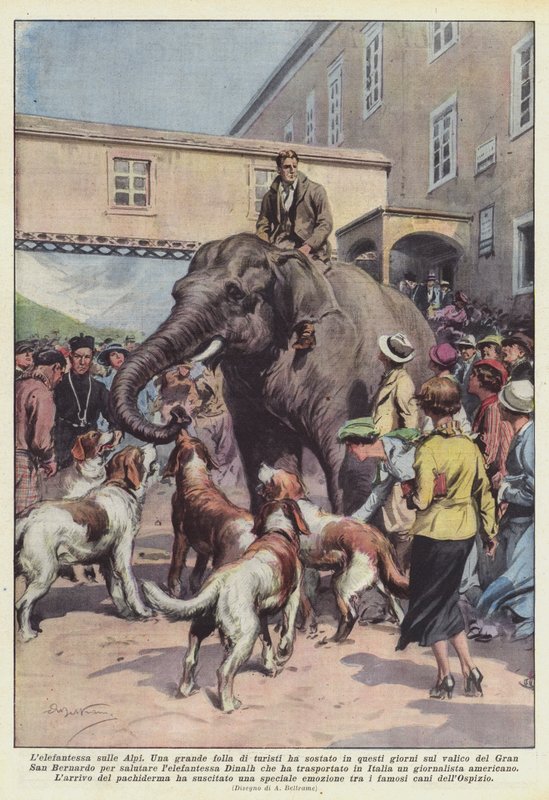 The Elephant on the Alps by Achille Beltrame