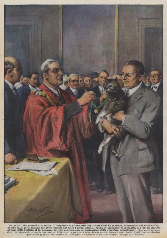 A Cat That Will Go Down in History by Achille Beltrame