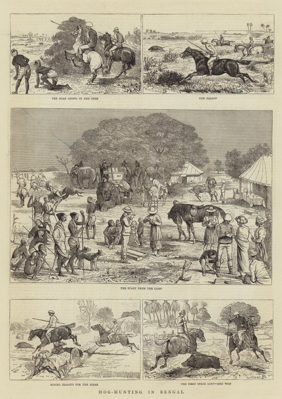 Hog-Hunting in Bengal by Alfred Chantrey Corbould