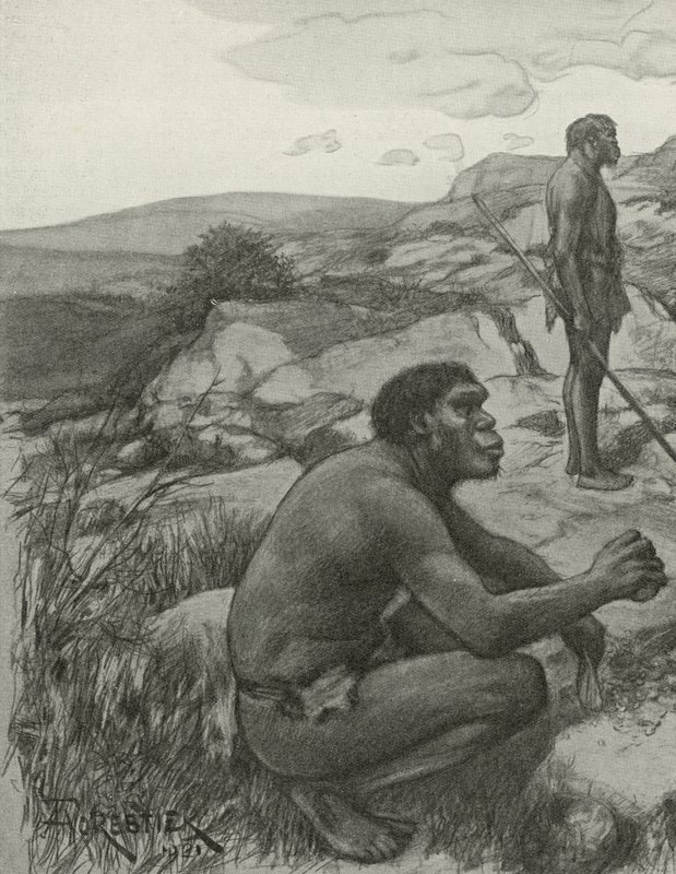Rhodesian Man by Amedee Forestier