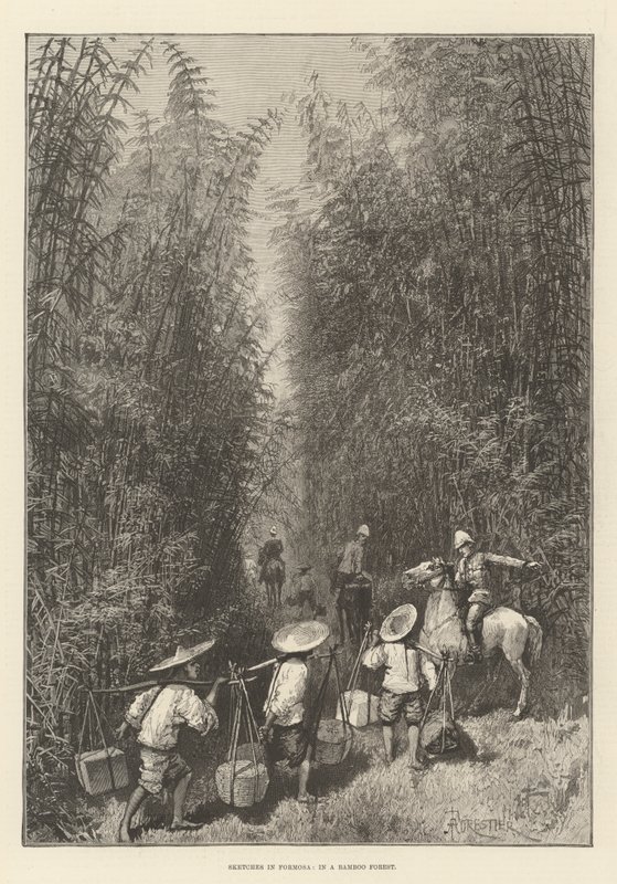 Sketches in Formosa, in a Bamboo Forest by Amedee Forestier