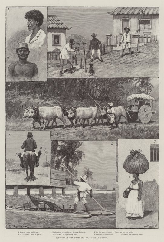 Sketches in the Northern Provinces of Brazil by Amedee Forestier