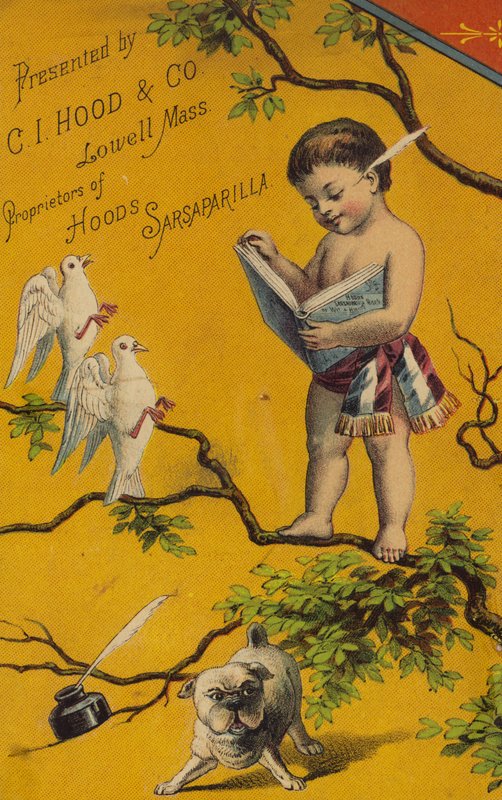 Cherub Reading Book In Tree by American School