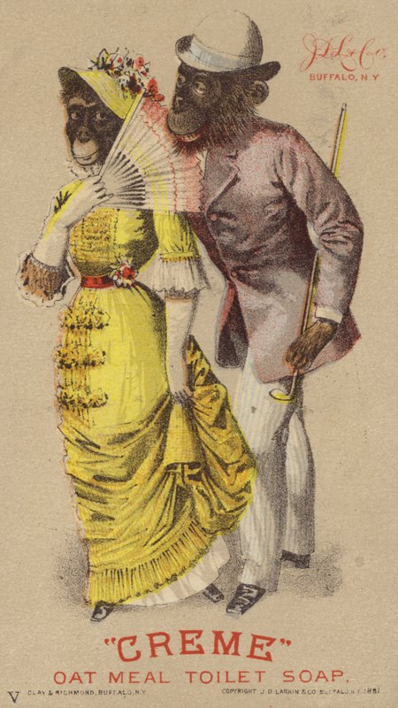 Chimpanzees in Clothes by American School
