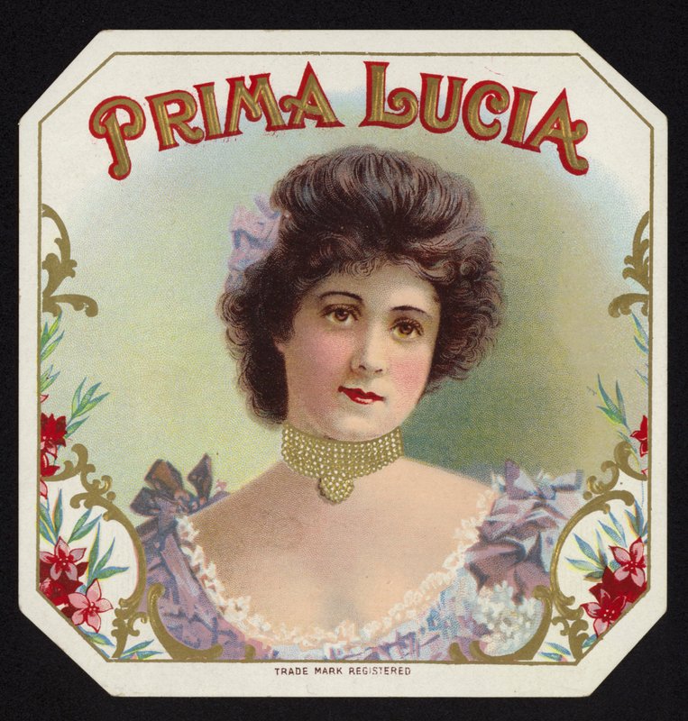 Demure Lady by American School