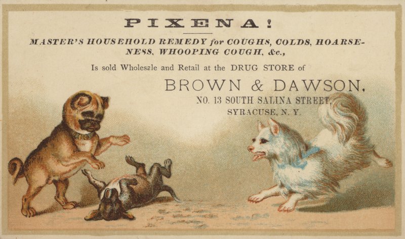 Dogs Playing Together by American School