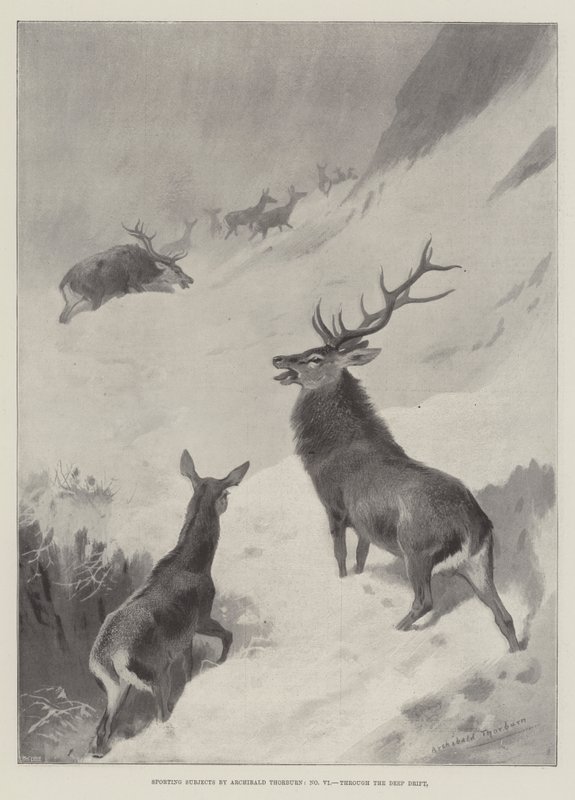 Sporting Subjects, Through the Deep Drift by Archibald Thorburn