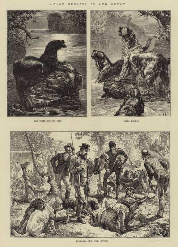Otter Hunting in the North by Basil Bradley