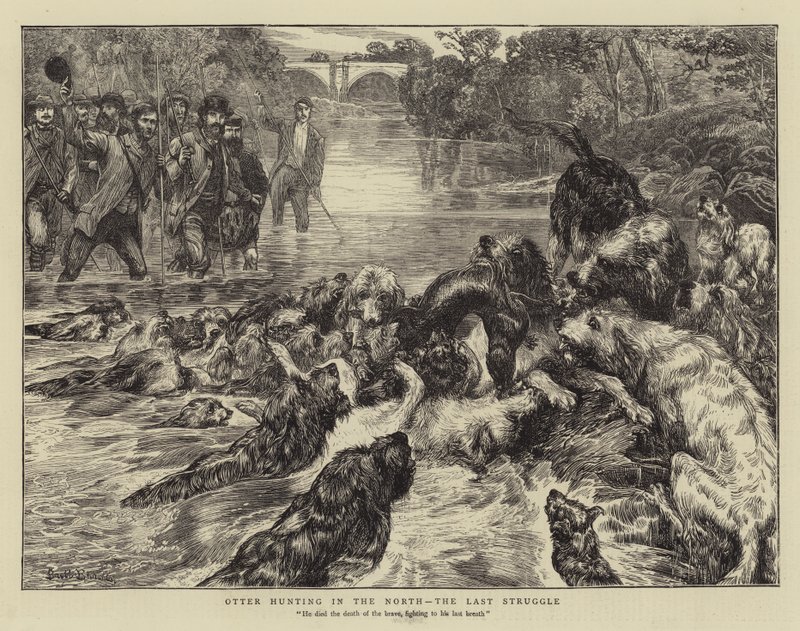 Otter Hunting in the North, the Last Struggle by Basil Bradley