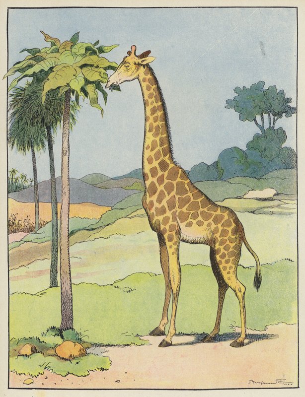 Giraffe by Benjamin Rabier
