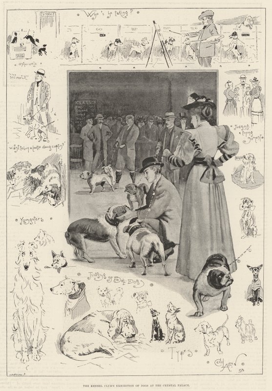The Kennel Club