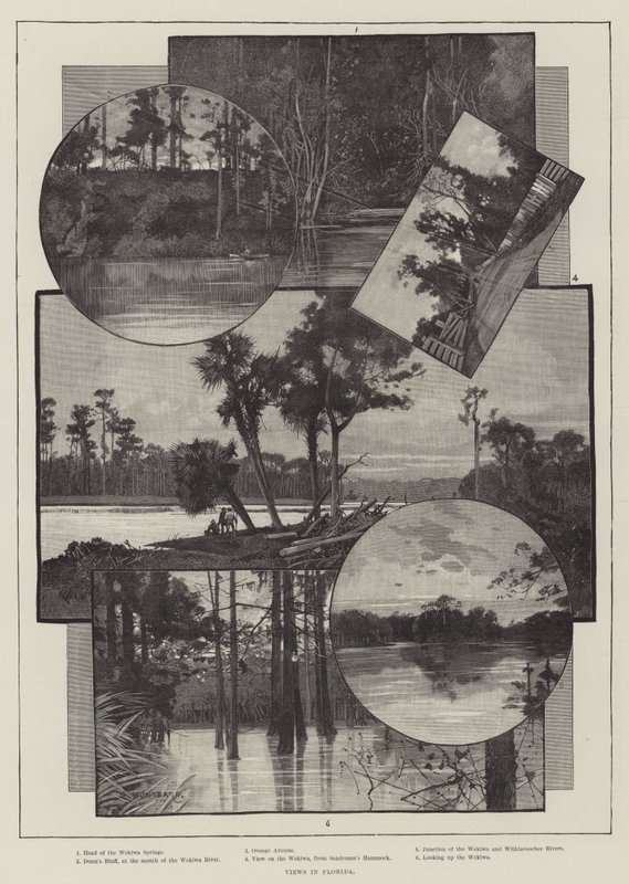 Views in Florida by Charles Auguste Loye