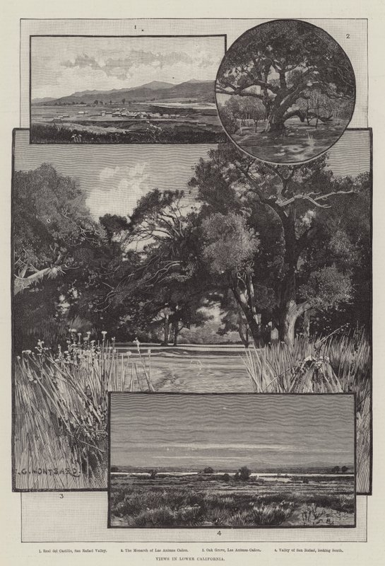 Views in Lower California by Charles Auguste Loye