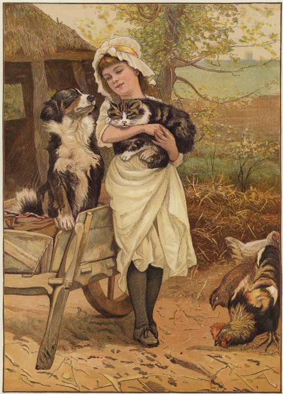 The Rivals by Edward Killingworth Johnson