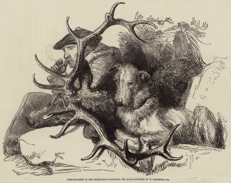 Deer-Stalking in the Highlands, Watching the Body by Edwin Landseer