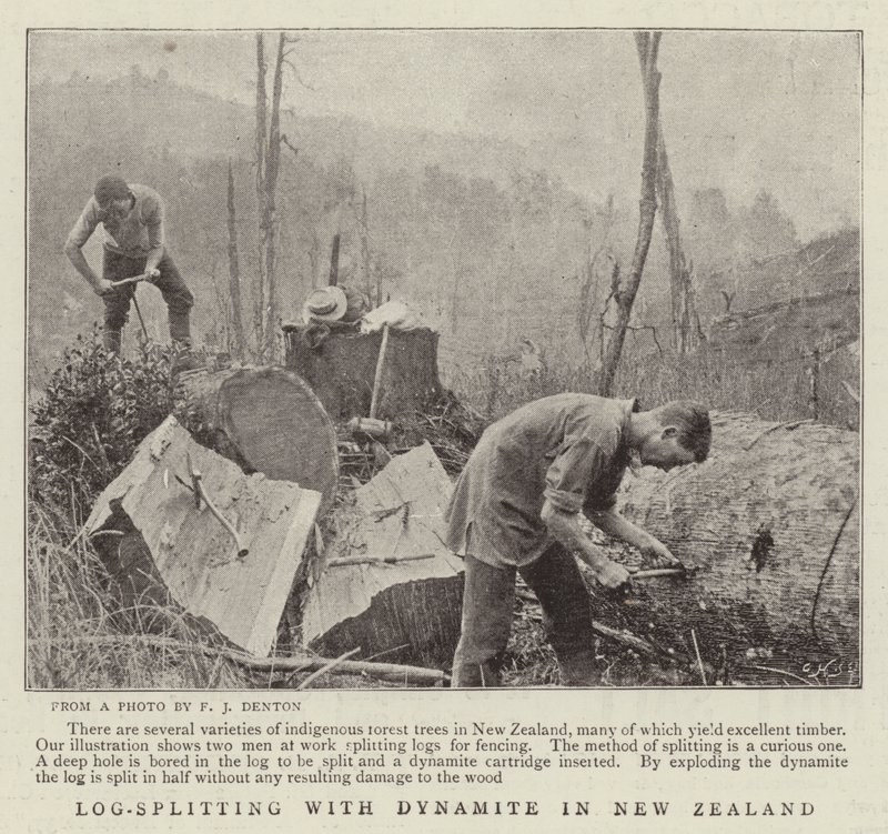 Log-Splitting with Dynamite in New Zealand by English Photographer