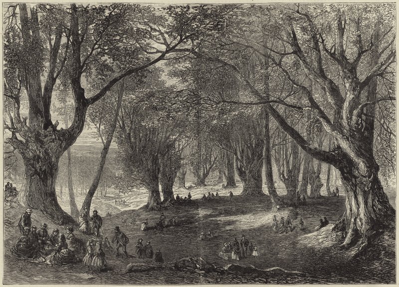 A View in Epping Forest by English School