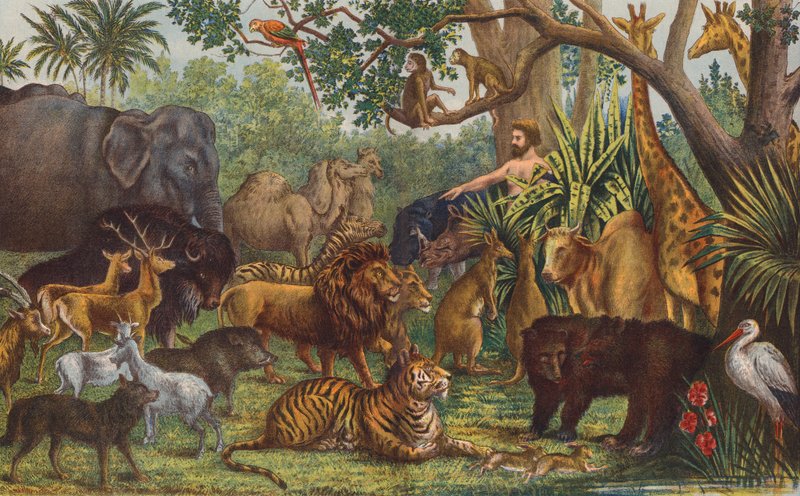 Adam naming the Animals by English School