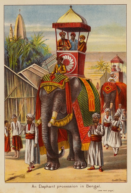 An Elephant procession in Bengal by English School