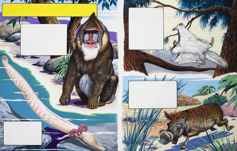 Assorted animals by English School