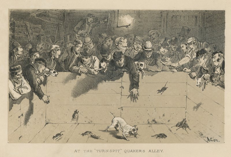 At the Turnspit by English School