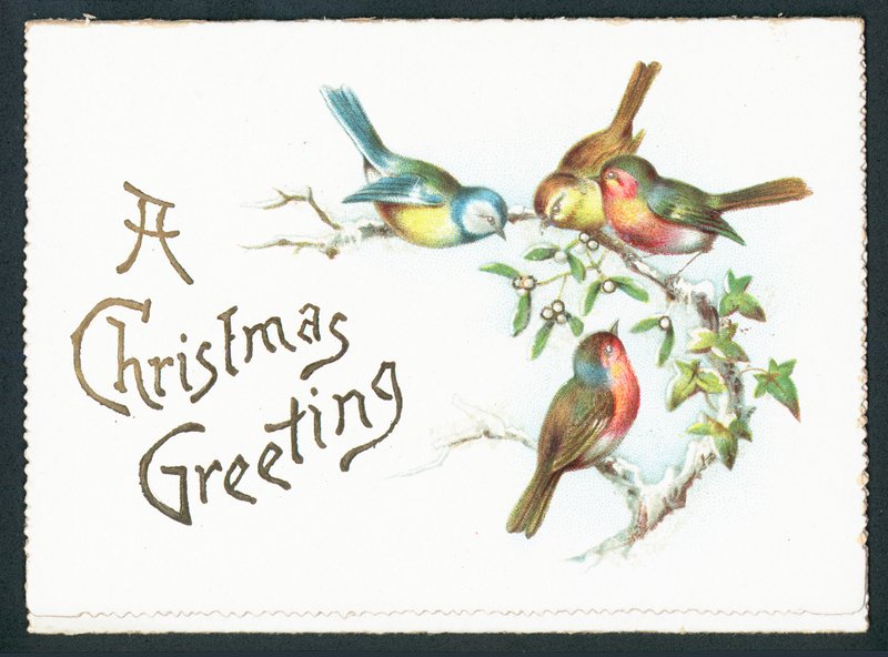 Blue Tits and Robins by English School