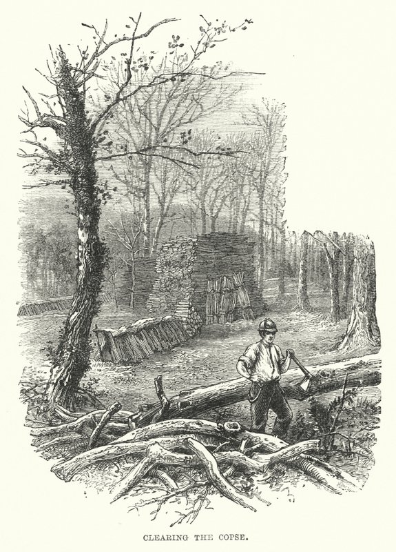 Clearing the Copse by English School