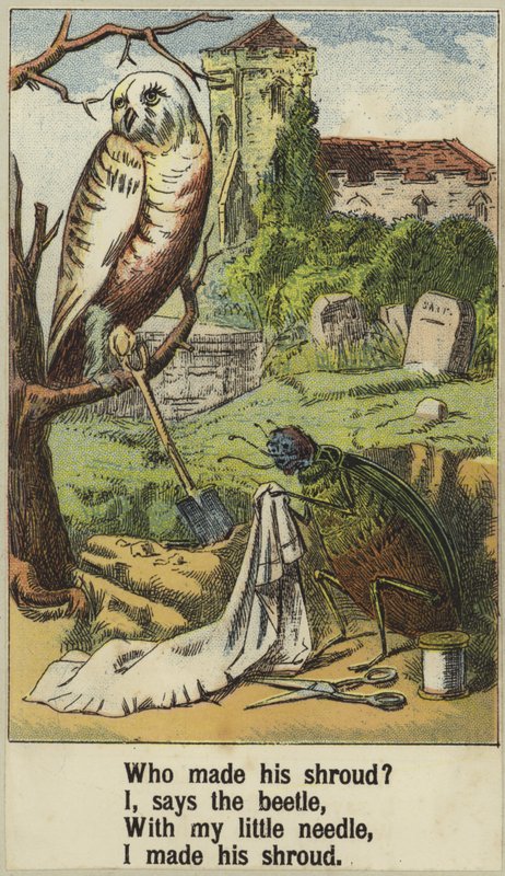 Cock Robin by English School
