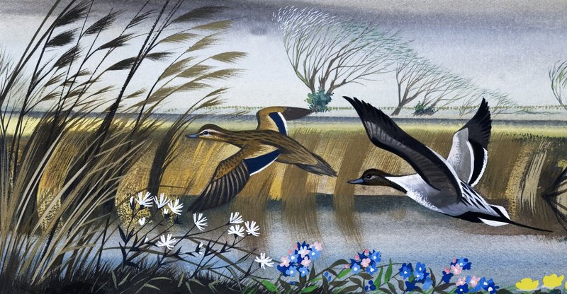 Ducks in flight by English School